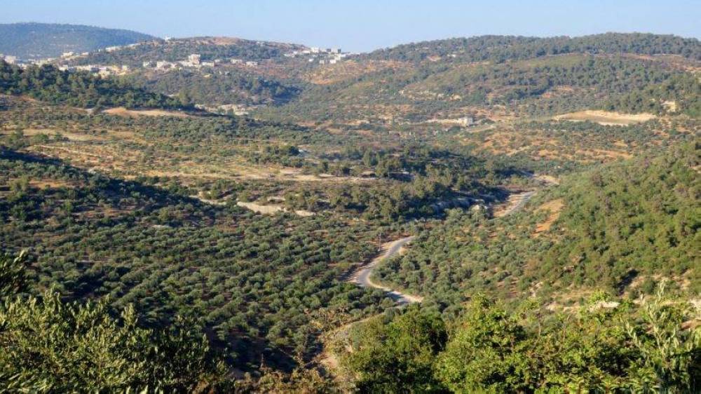 دعوات للحفاظ على نظافة الغابات في جرش