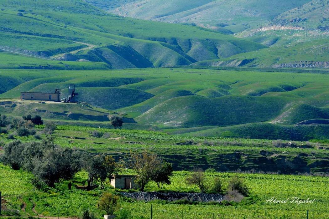 حركة سياحية نشطة من قبل الزوار محليًا وخارجيًا للاستمتاع بالأجواء الدافئة