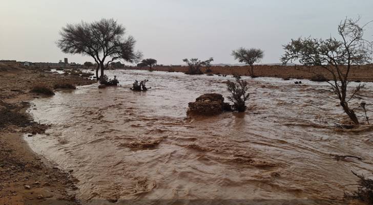 أمطار ورعد.. حالة الطقس ليوم الثلاثاء