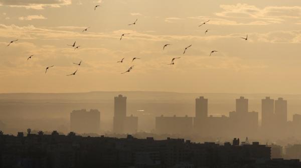 الصين ترغب في تعزيز التعاون الاقتصادي والتجاري مع مصر