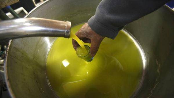 إشادة عالمية بزيت الزيتون الأردني خلال معرض مدريد