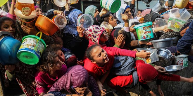 الصحة العالمية: جميع شرايين الحياة انقطعت في غزة