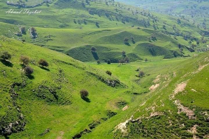 أجواء لطيفة في أغلب المناطق اليوم