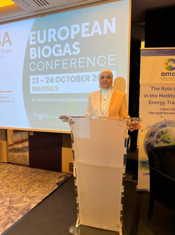 الأردن يرأس والاتحاد الأوروبي مؤتمر منصة الغاز المنعقد في باريس