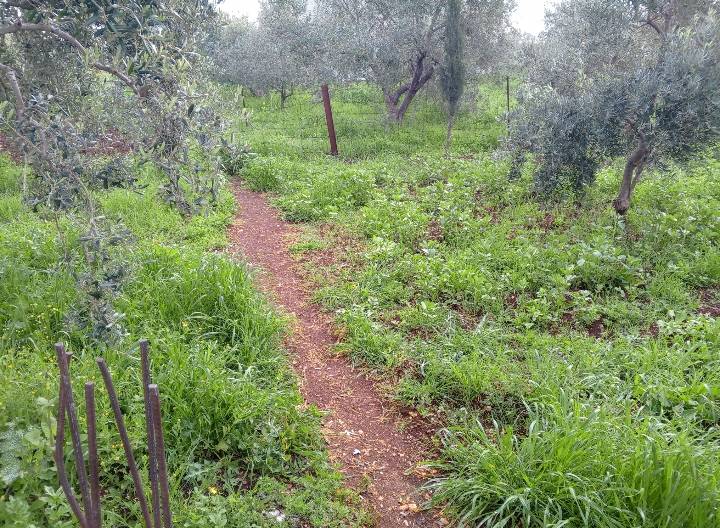 الحالة الجوية المتوقعة للأيام الثلاثة القادمة