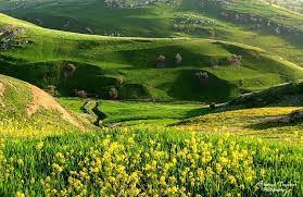 ماذا حدث في أم النمل الجمعة؟