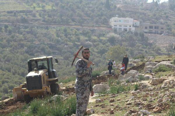 مبادرة لزراعة 10 ملايين شجرة في المزار