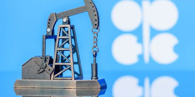أوبك: تقديرات وكالة الطاقة الدولية بشأن أمن النفط مشجعة