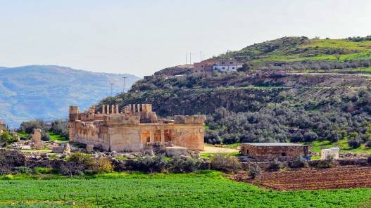 الاعتدال الربيعي وانتهاء فصل الشتاء فلكيا في الأردن الأربعاء