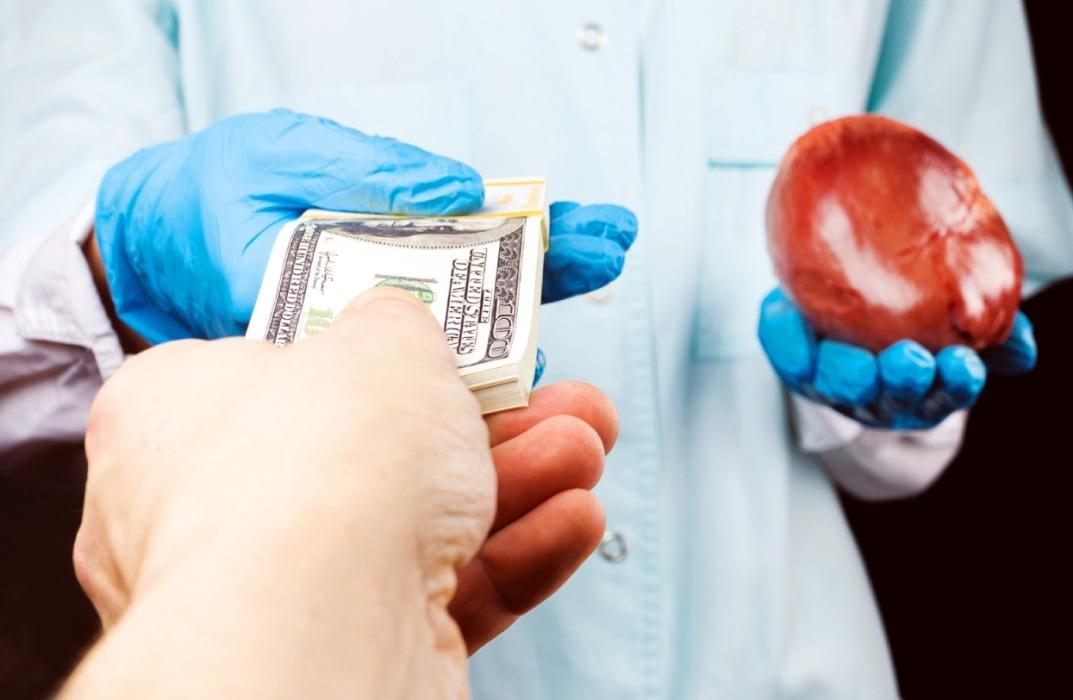 عصابة اردنية في تركيا تتاجر بالأعضاء البشرية للأردنيين  تفاصيل