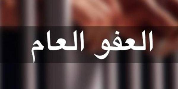 العموش: العفو العام سيكون بمثابة فرصة لمن تجاوز على القانون لتصحيح سلوكهم