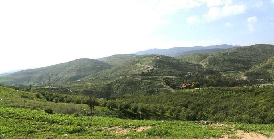 الربيع يعيد الحيوية والانتعاش للقطاع السياحي