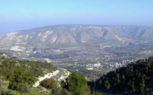 سلطة وادي الأردن: نسعى لتطوير وتحسين خدمات المزارعين