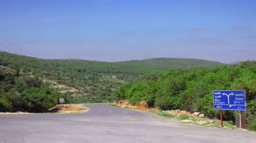 أجواء ربيعية دافئة اليوم وحالة من عدم الاستقرار الجمعة