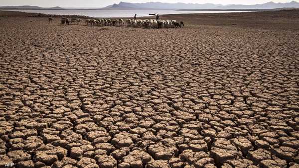 وسط طقس متطرف.. 20 مليونا يواجهون الجوع بدول الجنوب الأفريقي