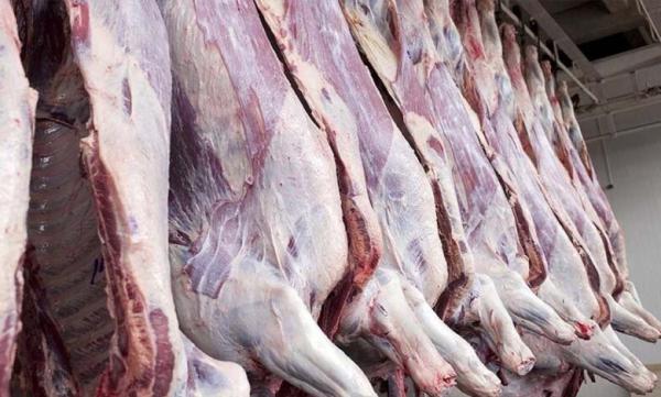 الزراعة : أسعار اللحوم مستقرة منذ بداية شهر رمضان