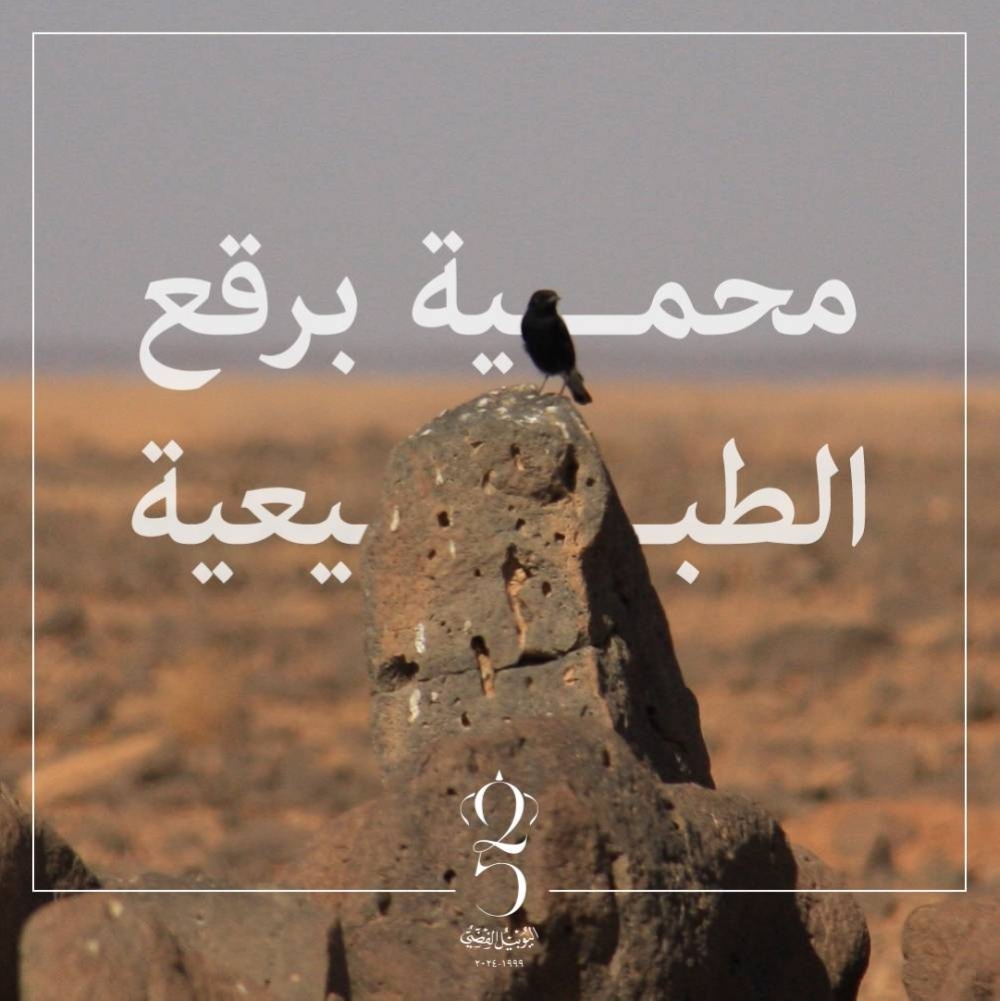 البادية الشمالية.. محمية برقع أهم مناطق هجرة الطيور في الأردن