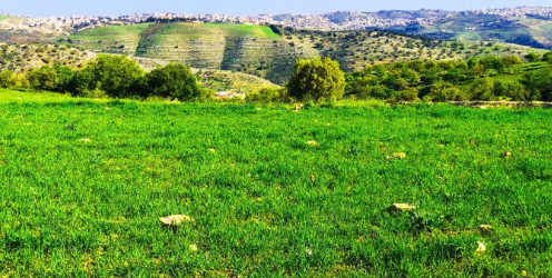 أجواء لطيفة في أغلب المناطق السبت والأحد