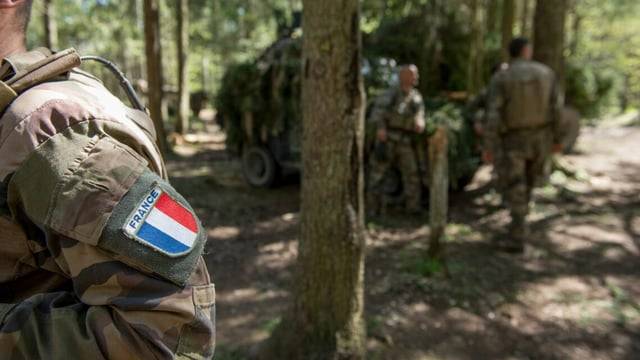 دراسة فرنسية: ارتفاع نسبة الشباب الراغبين في الانضمام للجيش