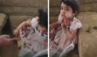 ”طفلة يمنية ” تخزن قات وتثير الاستياء على مواقع التواصل