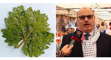 المهندس عبيدات يوجه رسالة الى مزارعي العنب في الأردن