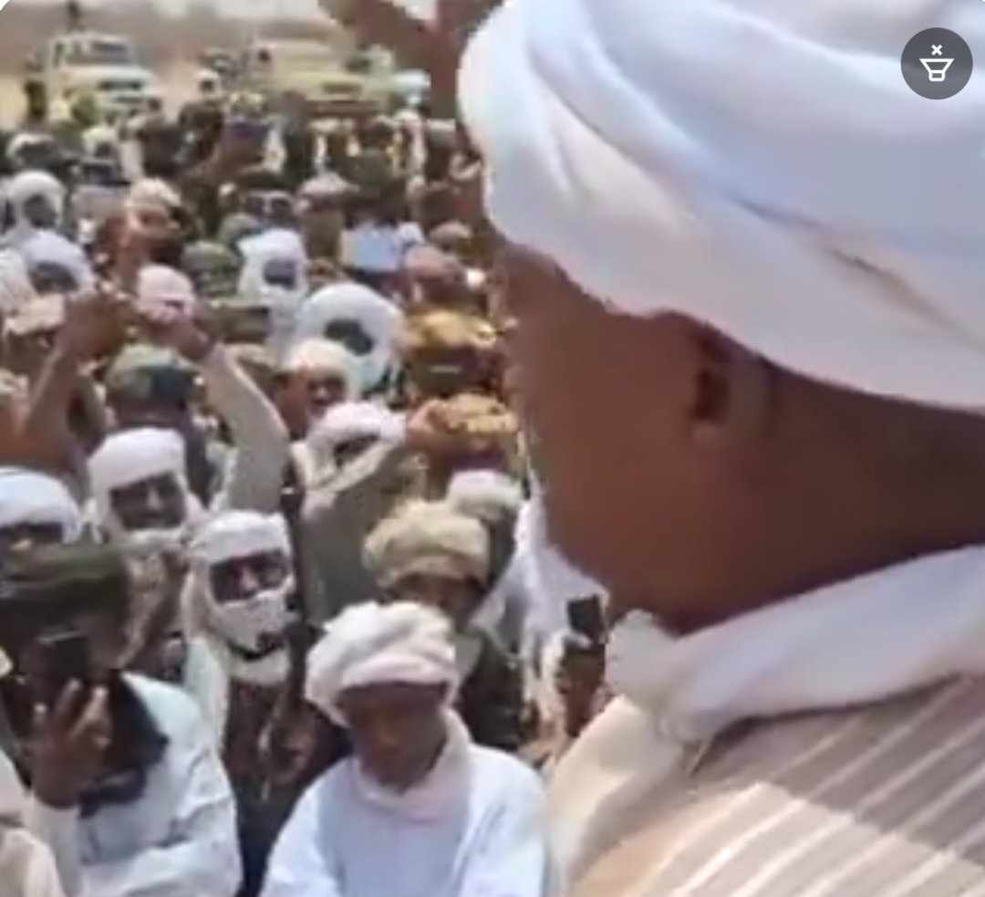 الزعيم السوداني موسى هلال: نحن مع الدولة والقوات المسلحة السودانية
