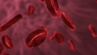 إنزيمات تحوّل فصائل الدم إلى الفصيلة الأولى