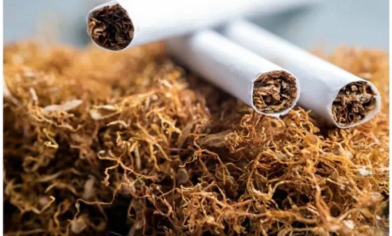 540 دينارا متوسط الإنفاق السنوي للأسر الأردنية على التبغ والسجائر