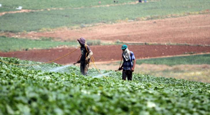 825650 دينارا قروض إعمار واستغلال الأراضي الزراعية خلال الربع الأول من العام الحالي