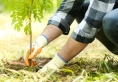 انطلاق مبادرة زراعة الأشجار في لواء الكورة
