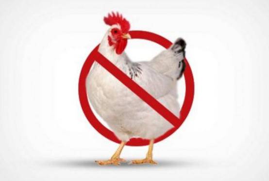 خليها تقاقي وما تلاقي.. حملة شعبية لمقاطعة الدجاج في الاردن