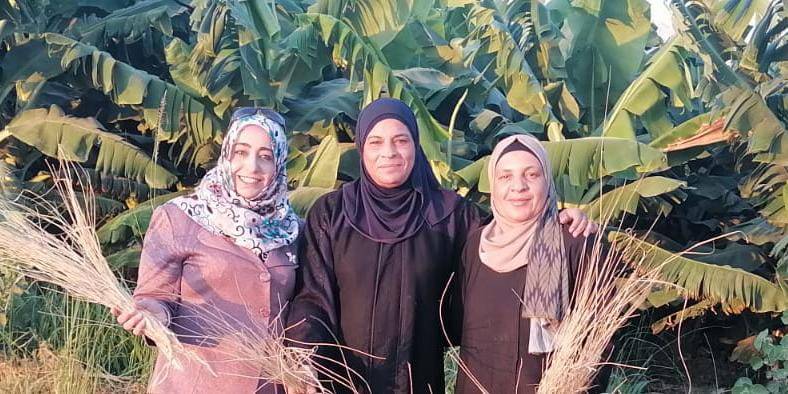 دورة تحضير خامة الياف شجر الموز  بإشراف هديل الصبيحي في غور الصافي.