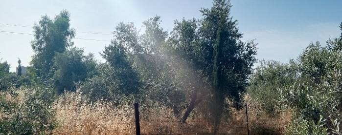 أجواء حارة ومغبرة في أغلب المناطق اليوم وغدا