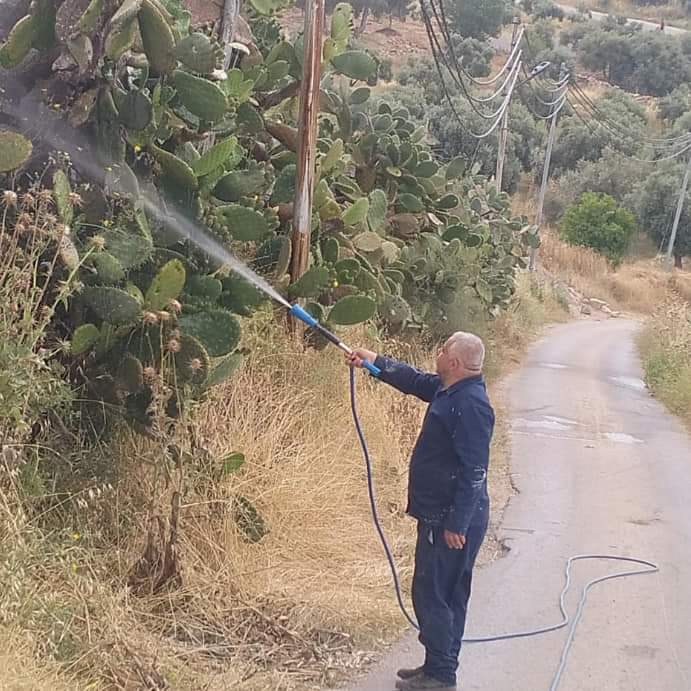 حملة رش في المزار الشمالي لمكافحة حشرتي الصبار والتين