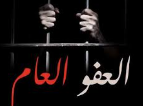 العموش: العفو العام يسقط الغرامات المترتبة على الشركات