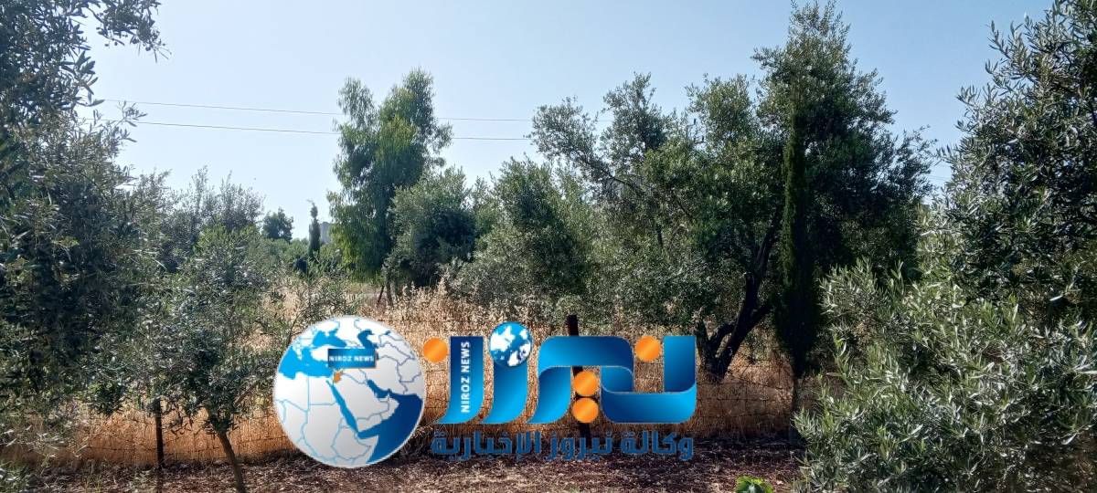 اجواء دافئة في اغلب المناطق حتى الثلاثاء