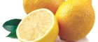 الصناعة والتجارة : لهذا السبب ارتفعت أسعار الليمون في الأسواق