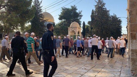 مستوطنون يقتحمون المسجد الأقصى بحماية شرطة الاحتلال الإسرائيلي