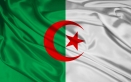 مشروع قرار جزائري لوقف الحرب على رفح أمام مجلس الأمن