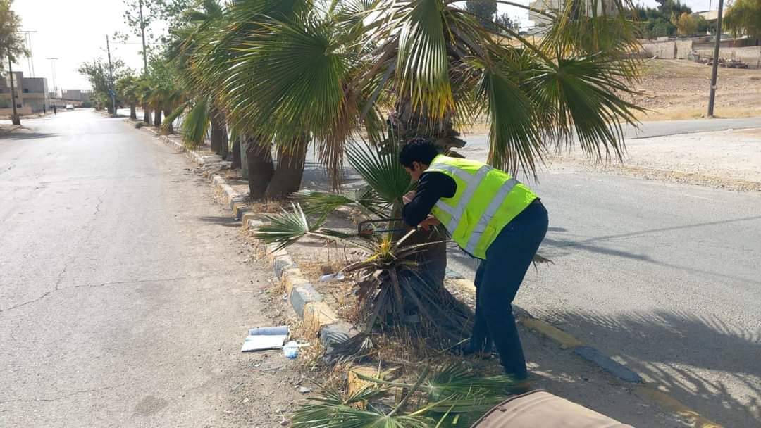 بلدية الموقر تواصل حملات تنظيف وتقليم الأشجار التي تشكل خطرا على المواطنين ...صور