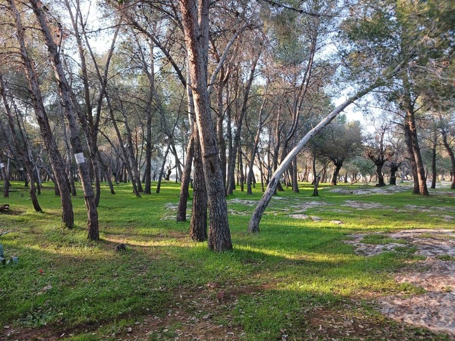 زراعة بني كنانة تؤكد حرصها للإرتقاء بواقع الخدمات المقدمة للقطاع الزراعي