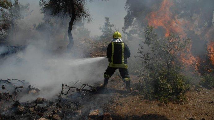 الدفاع المدني يتعامل مع حريق حرجي كبير في اربد