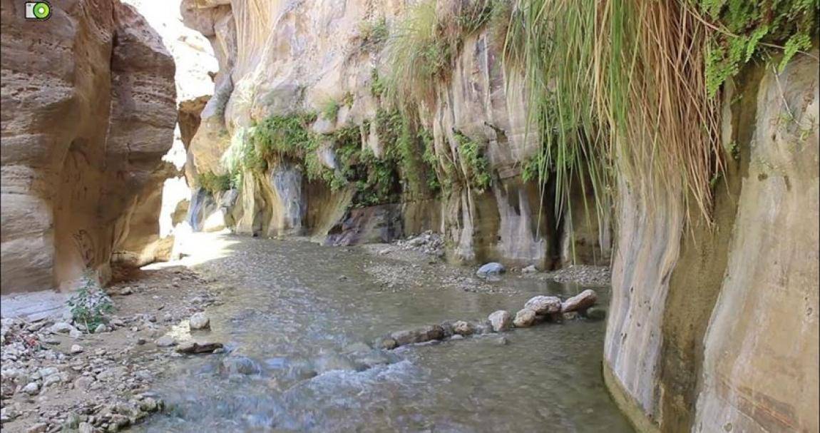 الكرك: مشروع تراثي لتنشيط الحركة السياحية والتراثية في وادي ابن حماد