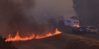 اندلاع حرائق غابات ضخمة في ولاية كاليفورنيا الأمريكية