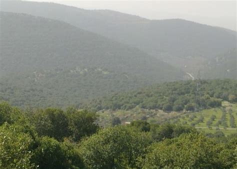 عجلون: لقاء يبحث تعزيز جهود حماية البيئة والغابات