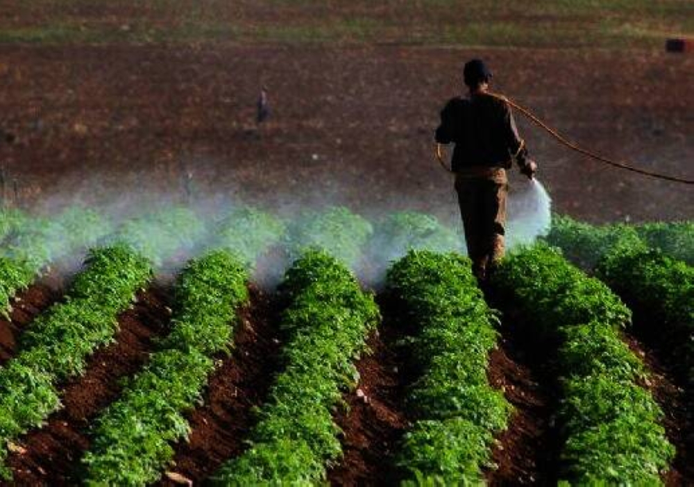 زراعة لواء الكورة توفر 80 فرصة عمل