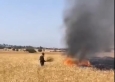 الدفاع المدني يتعامل مع حريق كبير بحقول القمح في الاغوار الشمالية