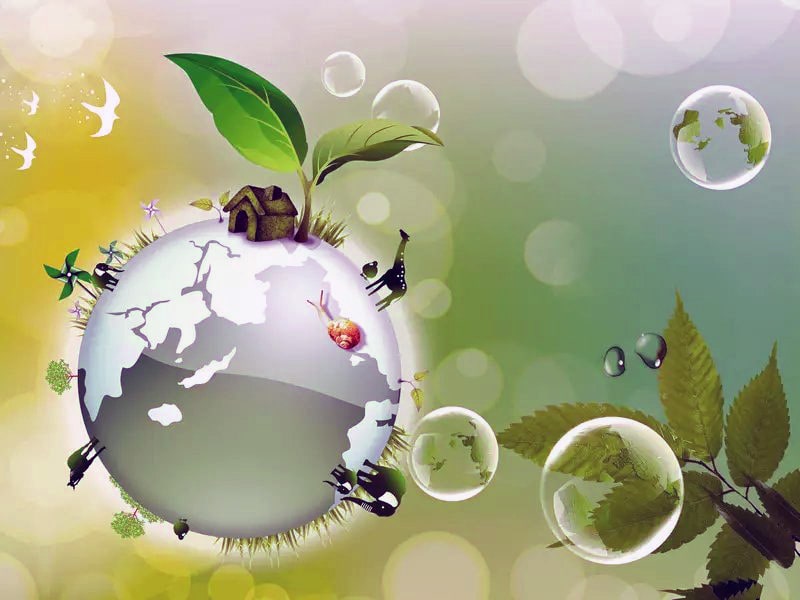 في يوم البيئة العالمي.. الأردن ينفذ خططا للوئام مع الطبيعة