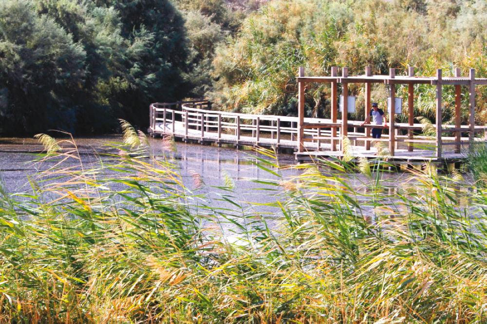 الأردن يحتل المرتبة 74 على مؤشر الأداء البيئي العالمي