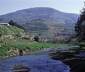 حماية البيئة في الزرقاء تنفذ حملة بهمتنا نحمي بيئتنا